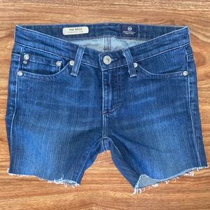 AG Adrian Goldshmied shorts